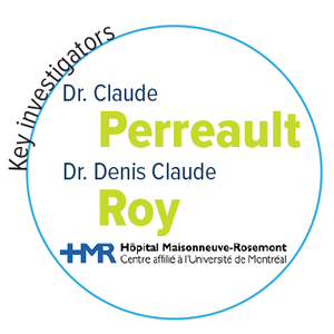 perreault-roy-enabling-name