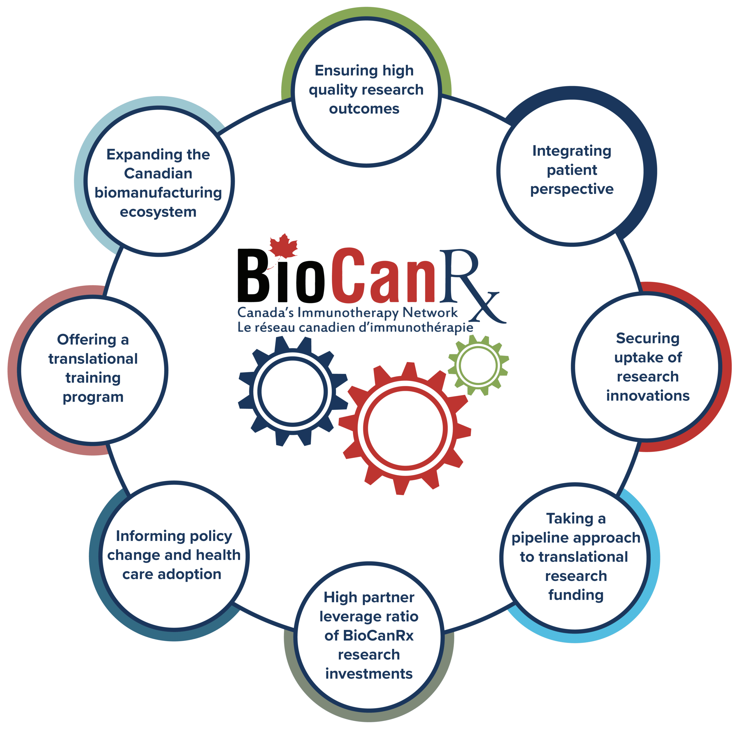 Infographic showing the BioCanRx research impact cycle, highlighting goals such as high-quality research outcomes, patient perspectives, translational training, and policy change in cancer immunotherapy.