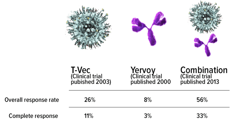 TVecYervoyTable
