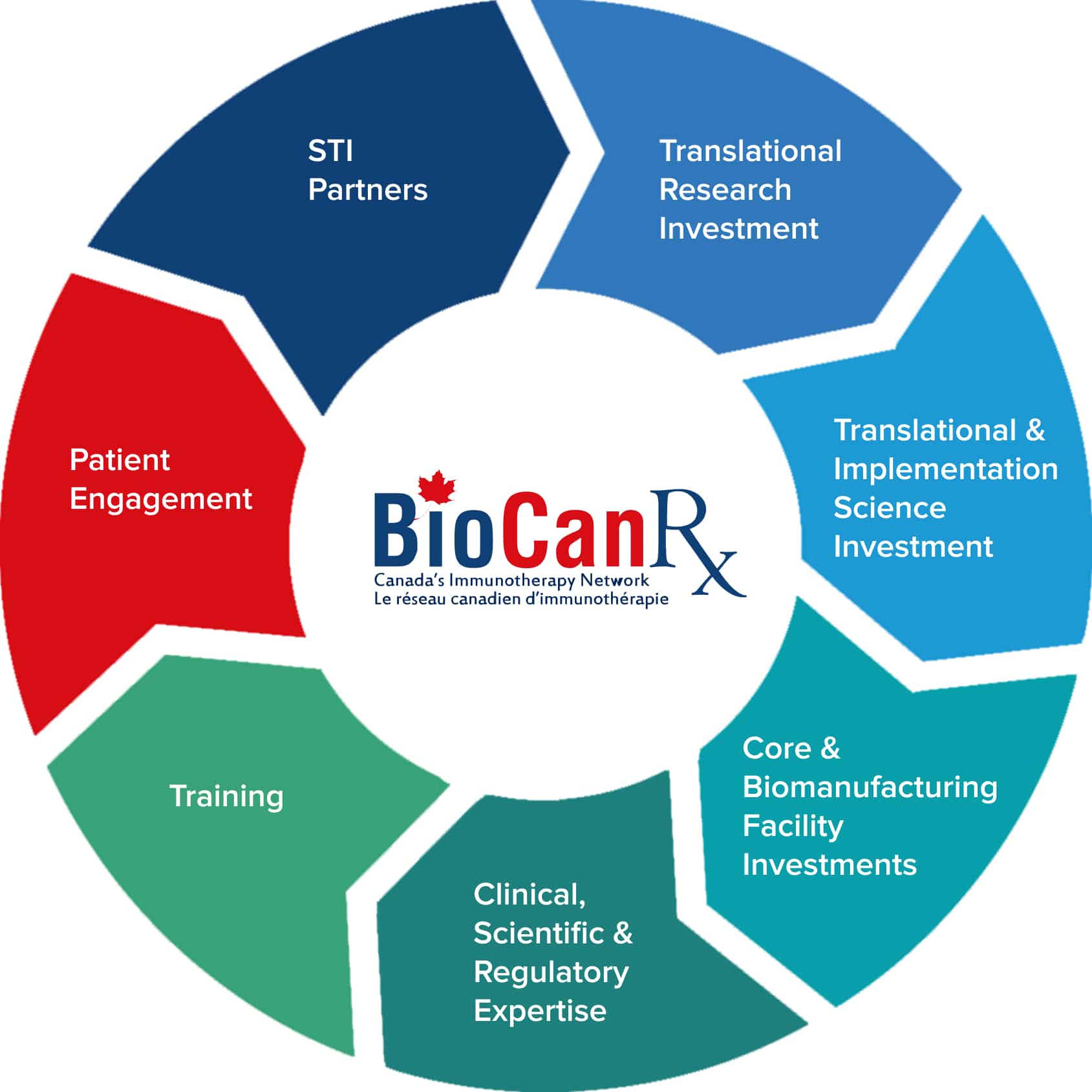 Translational Cancer Research Infographic