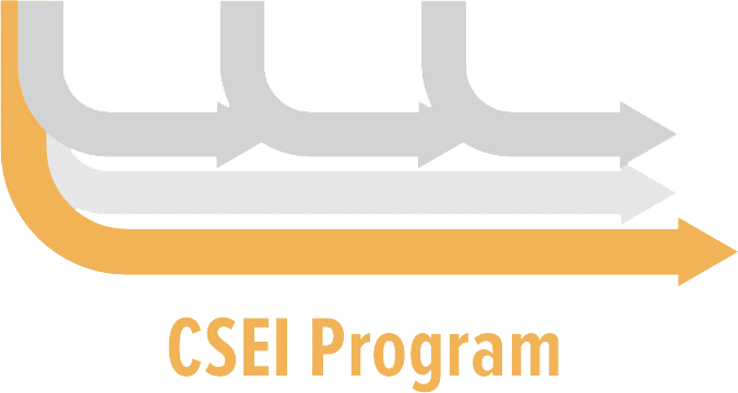 Clinical, Social, and Economic Impact (CSEI)